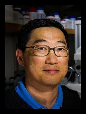 Seung Kim, MD, PhD