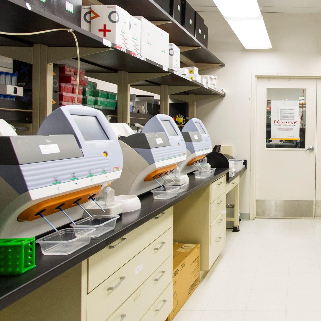 NET Research Temporary Delays due to COVID NETRF