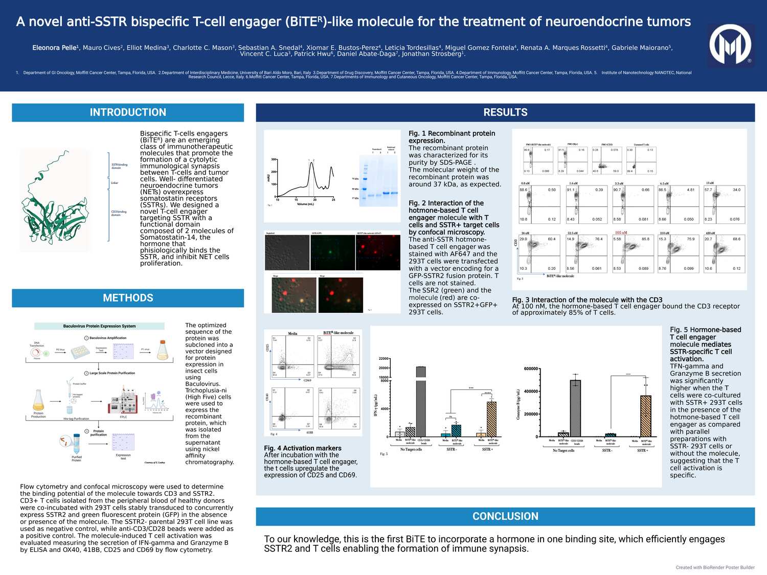 A novel anti-SSTR bispecific T-cell engager (BiTEÂ®)-like molecule for ...