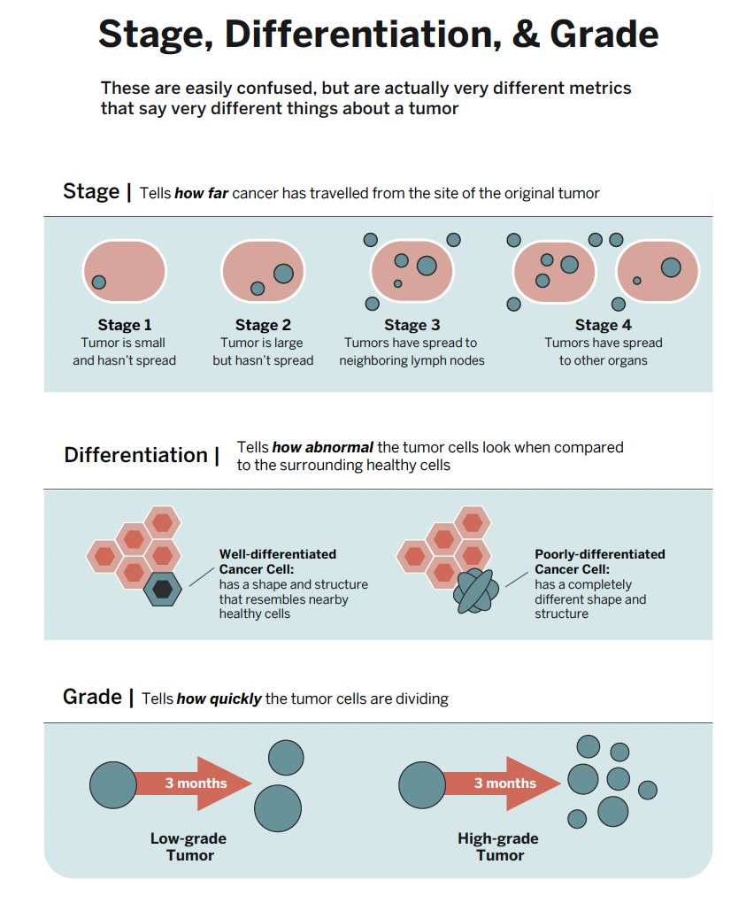 Cancer Cells vs. Normal Cells: How Are They Different?