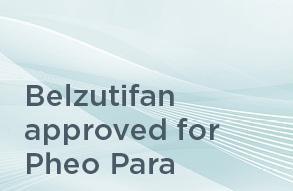 Text on blue background: "Belzutifan approved for Pheo Para"