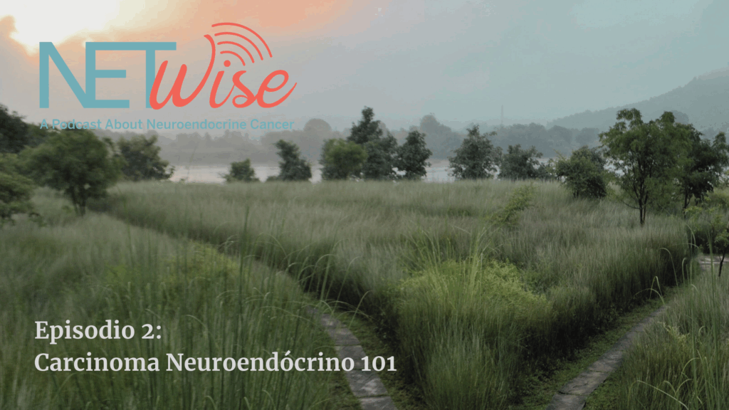 neuroendocrino 101