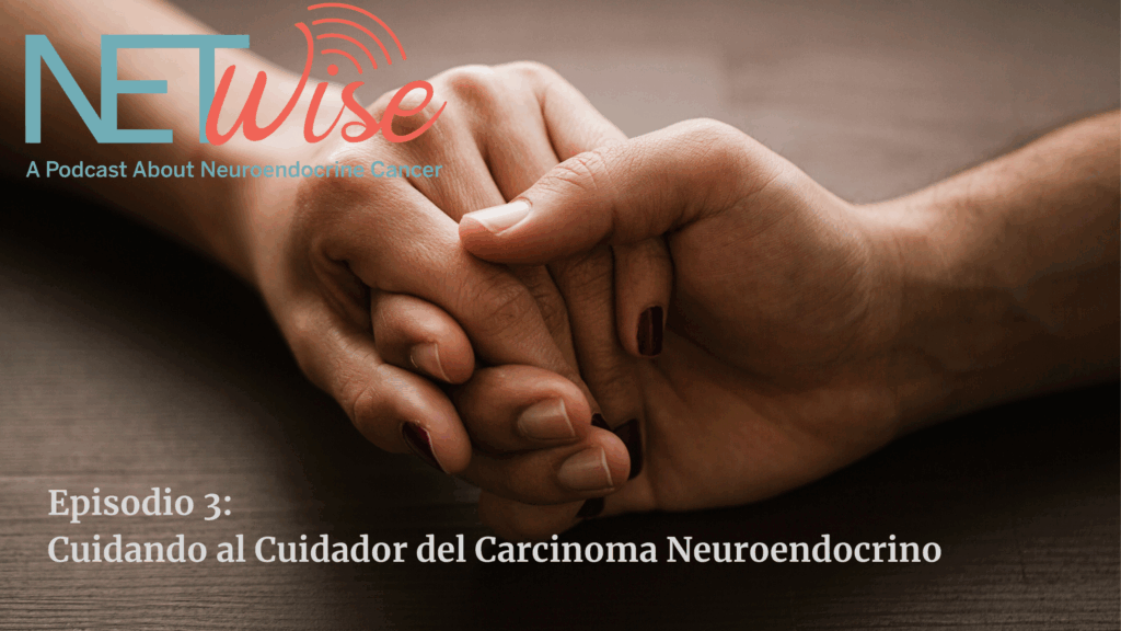 NETWise Spanish translation episode