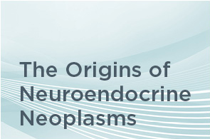 The Origin of Neuroendocrine Neoplasms